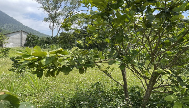 bán đất Đà Bắc  2300m phù hợp nghỉ dưỡng giá chưa đến 1 tỷ